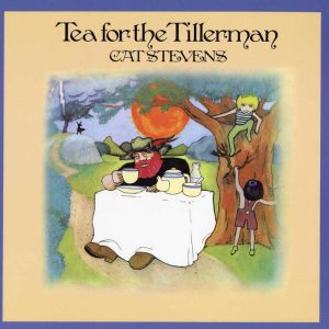 Cat Stevens - Tea for the Tillerman [Stereo] (Analogue Productions Edition)