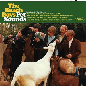 The Beach Boys - <em>Pet Sounds</em> [Mono] (Analogue Productions 45 RPM Edition)