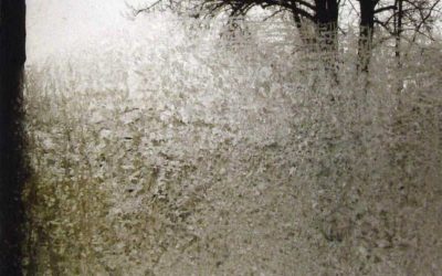 Favorite Albums | #93: Bon Iver – For Emma, Forever Ago (2007)