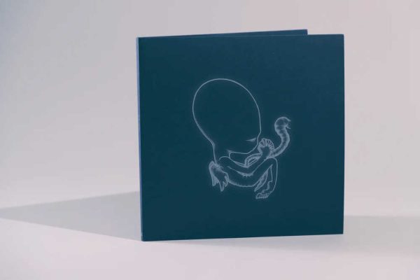 Sigur Rós - <em>Ágætis Byrjun</em> [Stereo] (VMP Essentials Series Edition) - Image 3